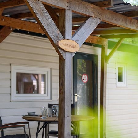 Chalet Op Rustig Park Op De Veluwe Putten Εξωτερικό φωτογραφία